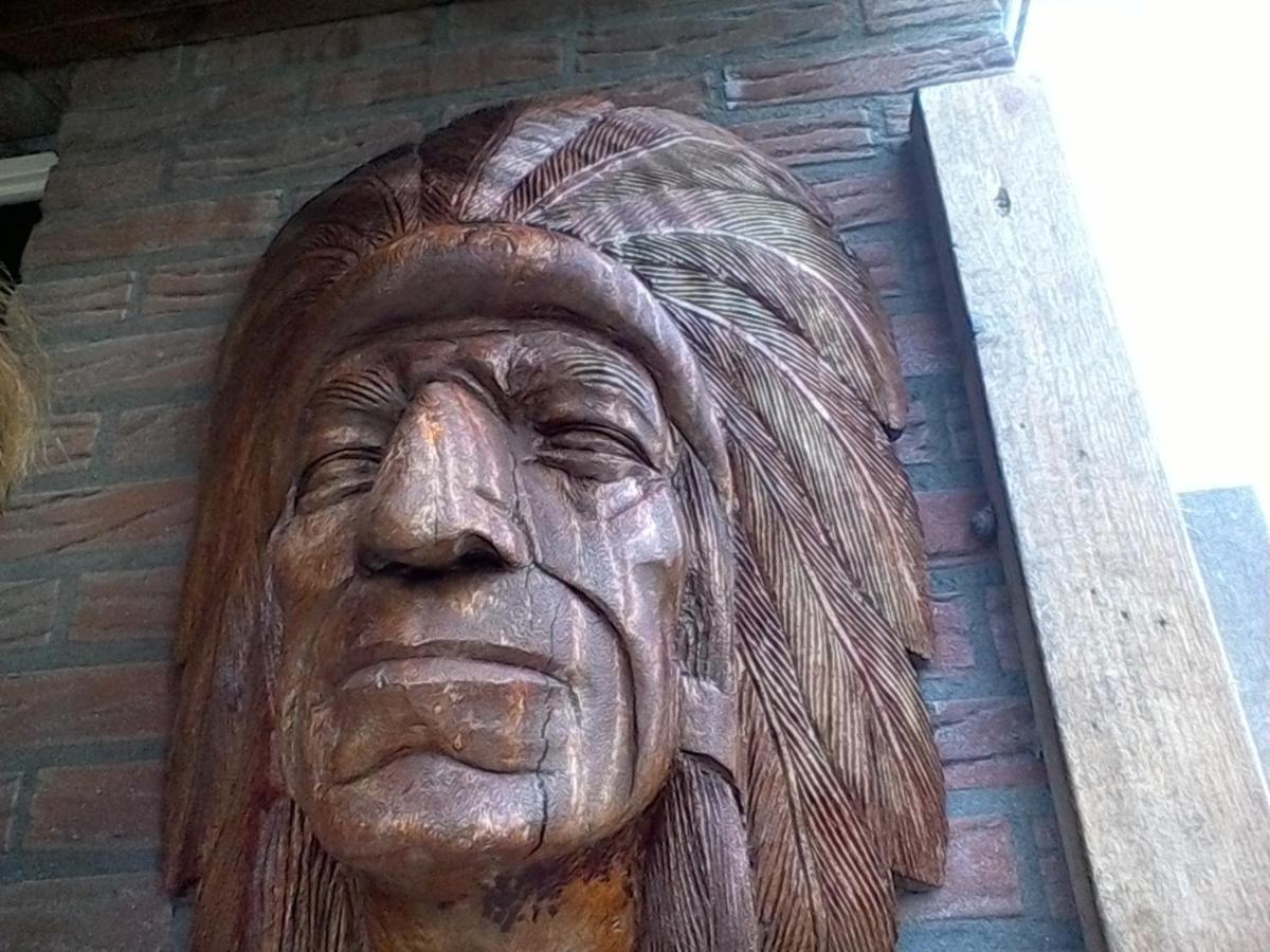 De Indiaan Bed & Breakfast Noord-Scharwoude Bagian luar foto